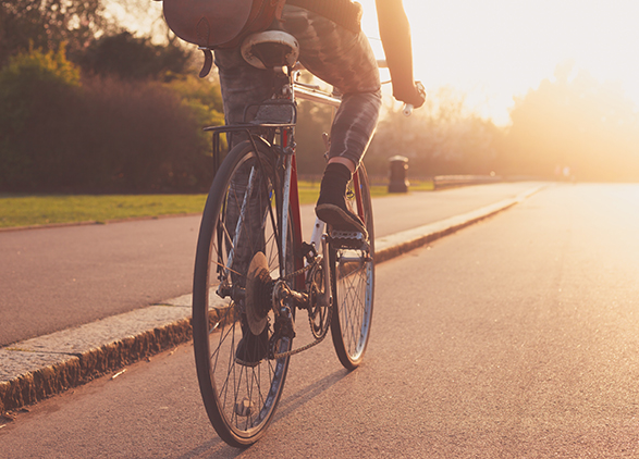 Bicycle - TS Bicycle - TS
