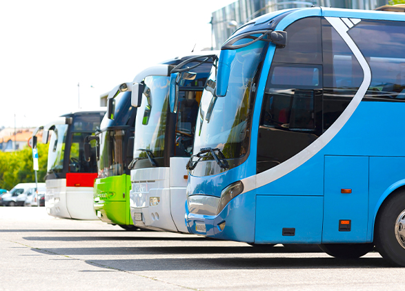 Bus - TS Bus - TS
